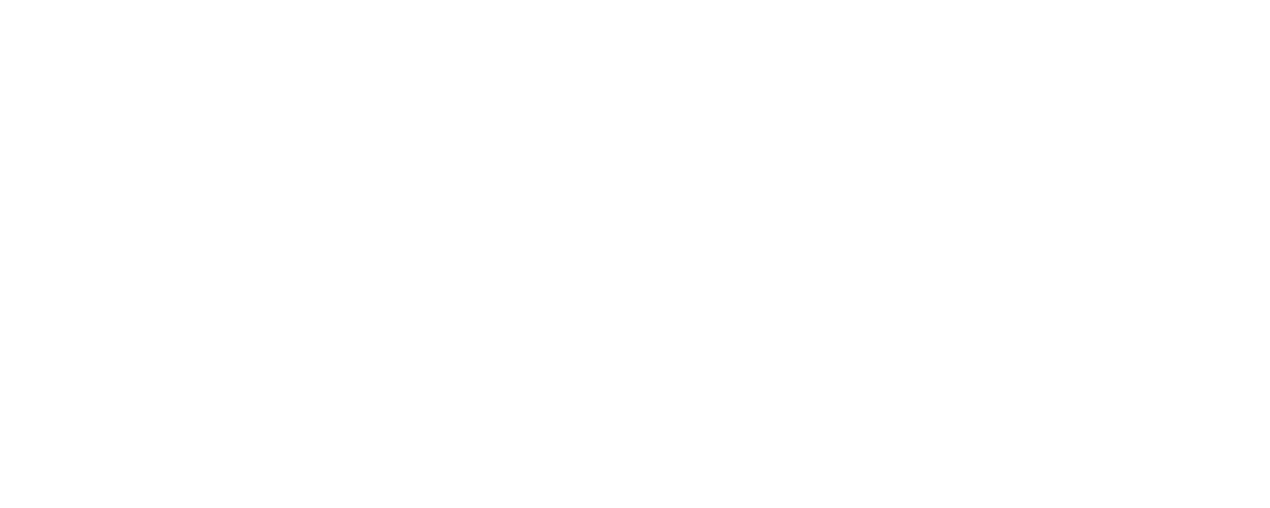 Tonsley AI
